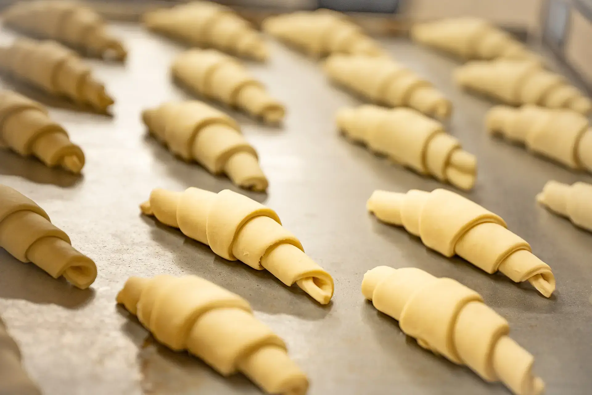 Frisch gerollte Gipfeli-Teiglinge vor dem Backen